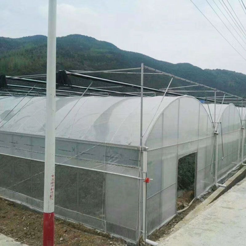 甘肅外遮陽連棟大棚