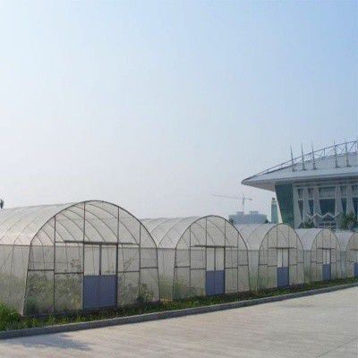 七臺河西瓜大棚