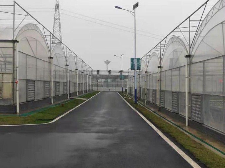 常德連棟溫室大棚