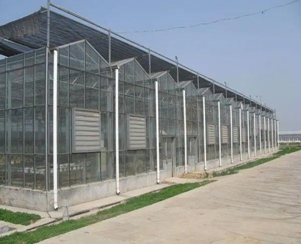 常德連棟溫室大棚