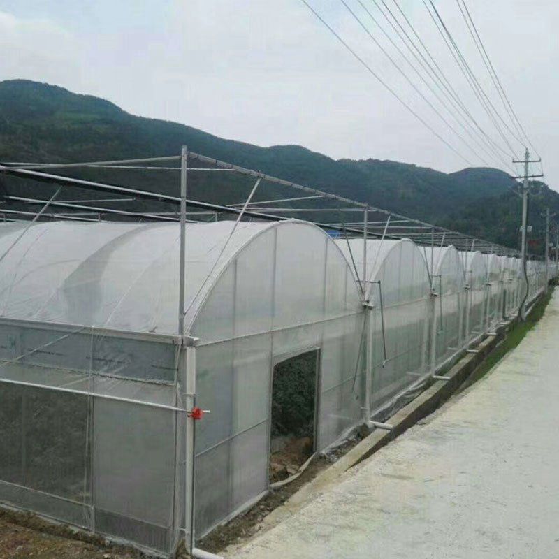 甘肅外遮陽連棟大棚