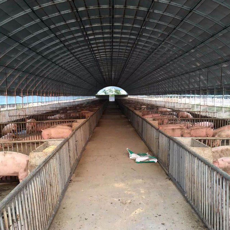 潛江養殖大棚